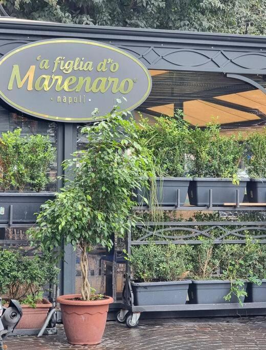 Casa Comoda E Centrale In Quartiere Storico Di Napoli 외부 사진